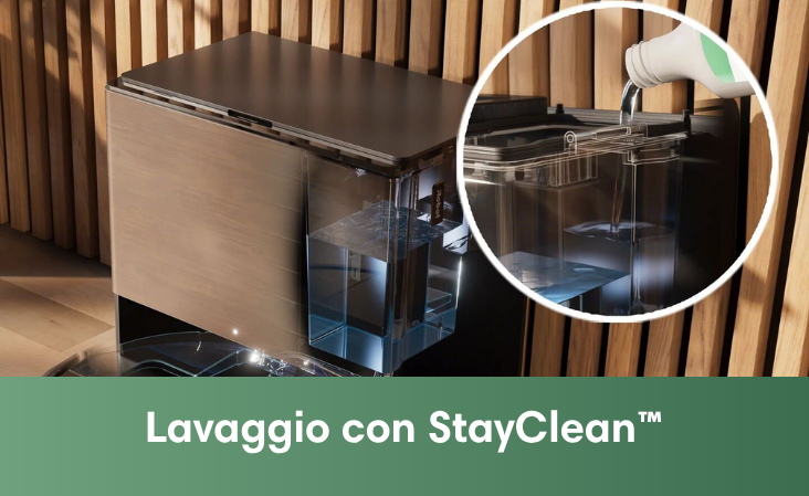 STAYCLEAN